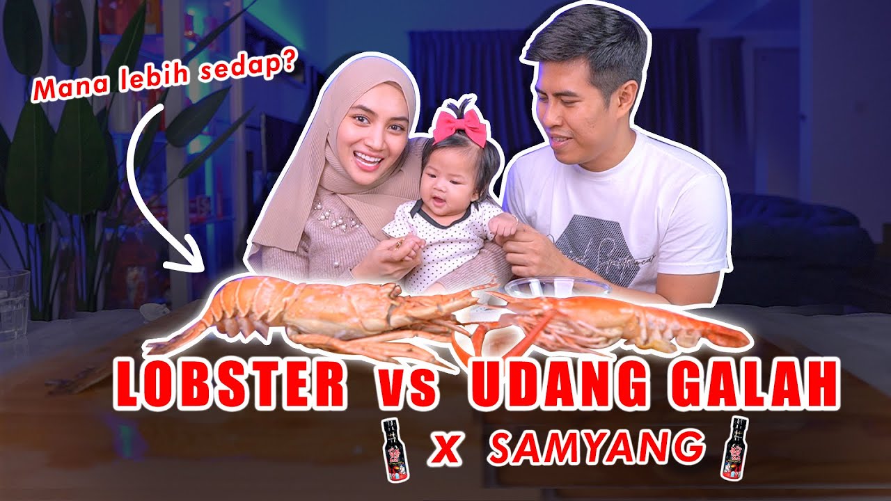 Mukbang Lobster Rm120 vs Udang Galah Rm60. Mana lagi sedap?