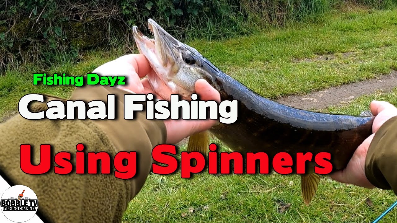 Canal Fishing Using Spinners