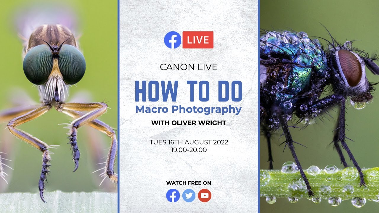 Canon Live | How to do Macro Photography with Oliver Wright
