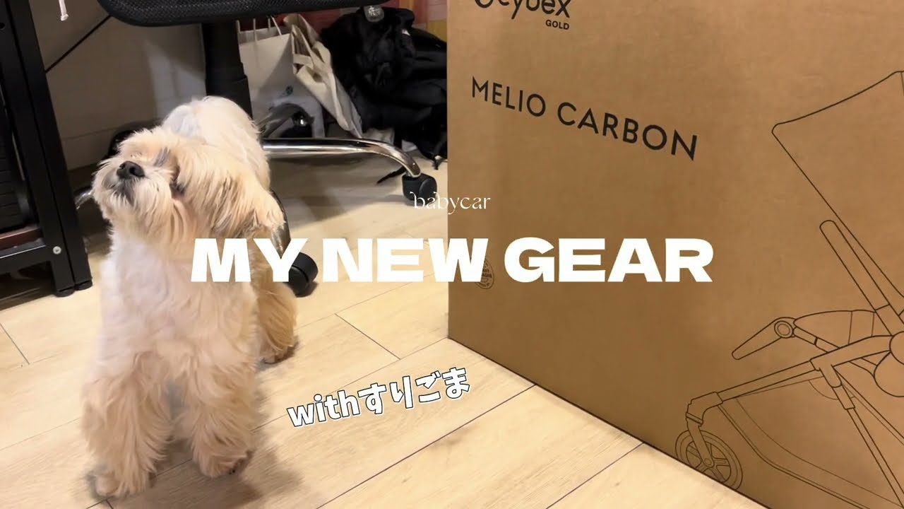 【MY NEW GEAR】超軽量ベビーカー！Cybex MELIO CARBONを開封レビュー👶
