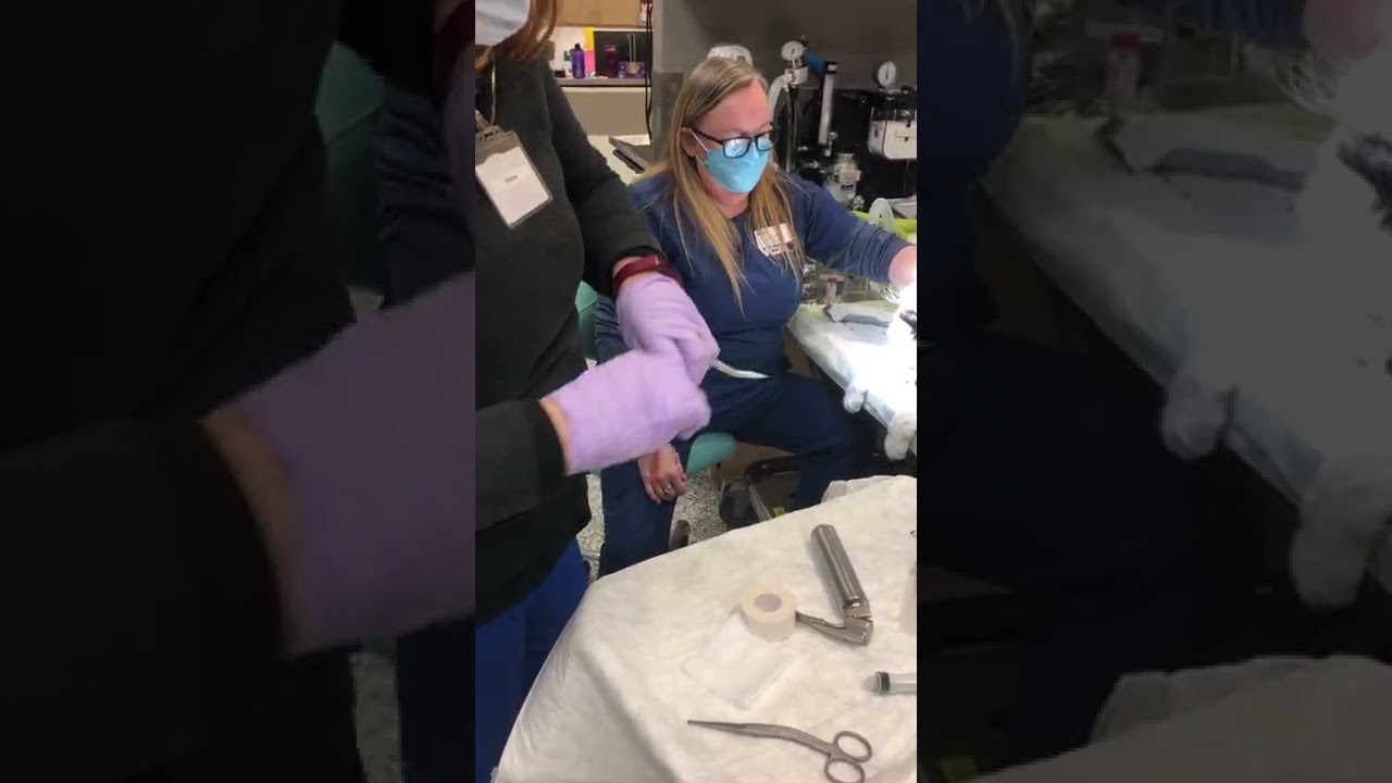 Skill #13 Penn Foster Veterinary Technician Program - orogastric intubation