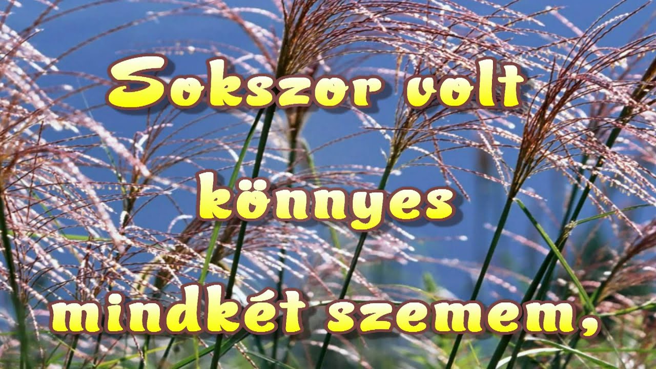 Csend van bennem