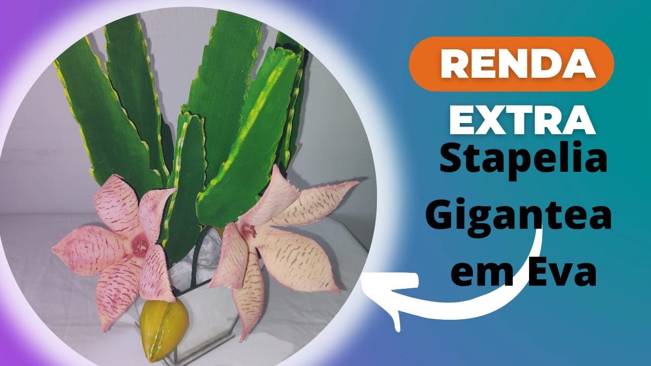 Stapelia Gigantea- Cactus/Suculentas em Eva