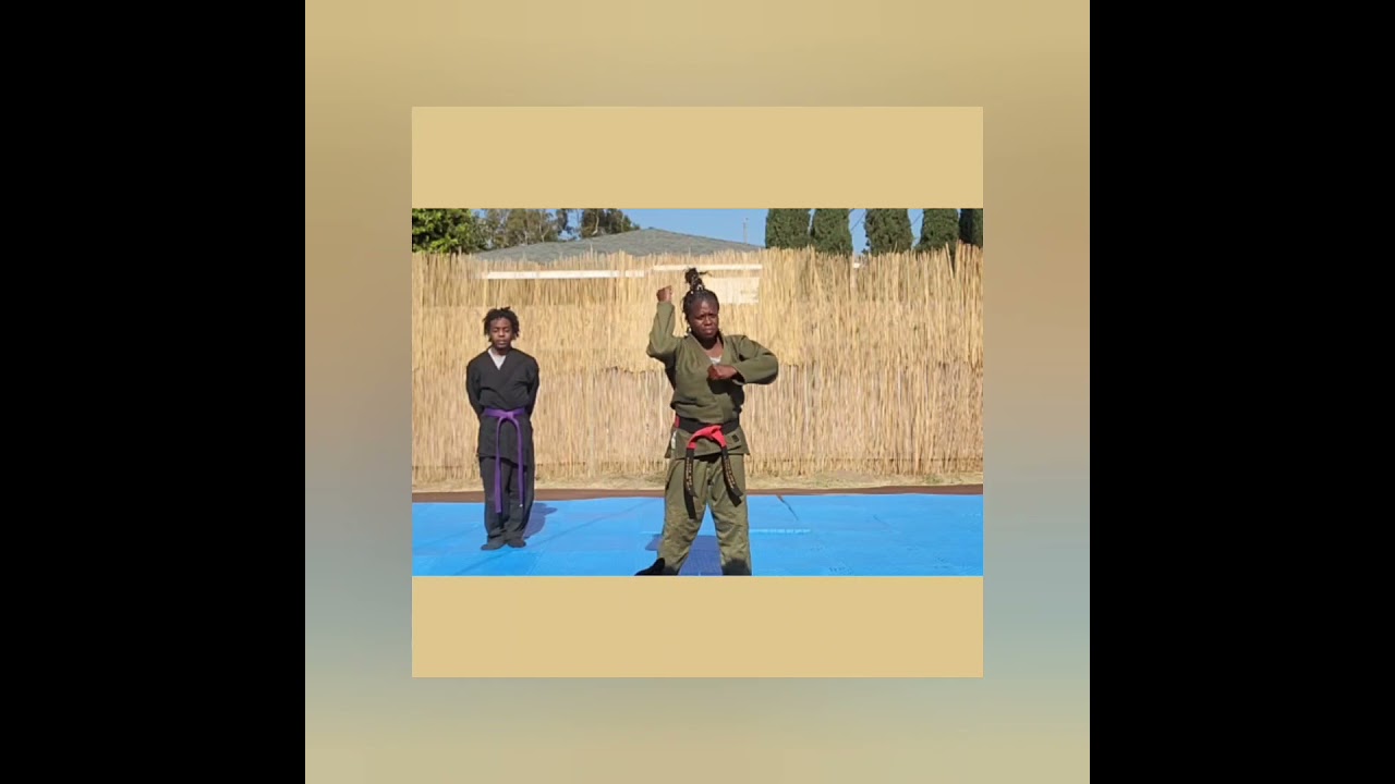 RA Life Defense Professor Zahalea