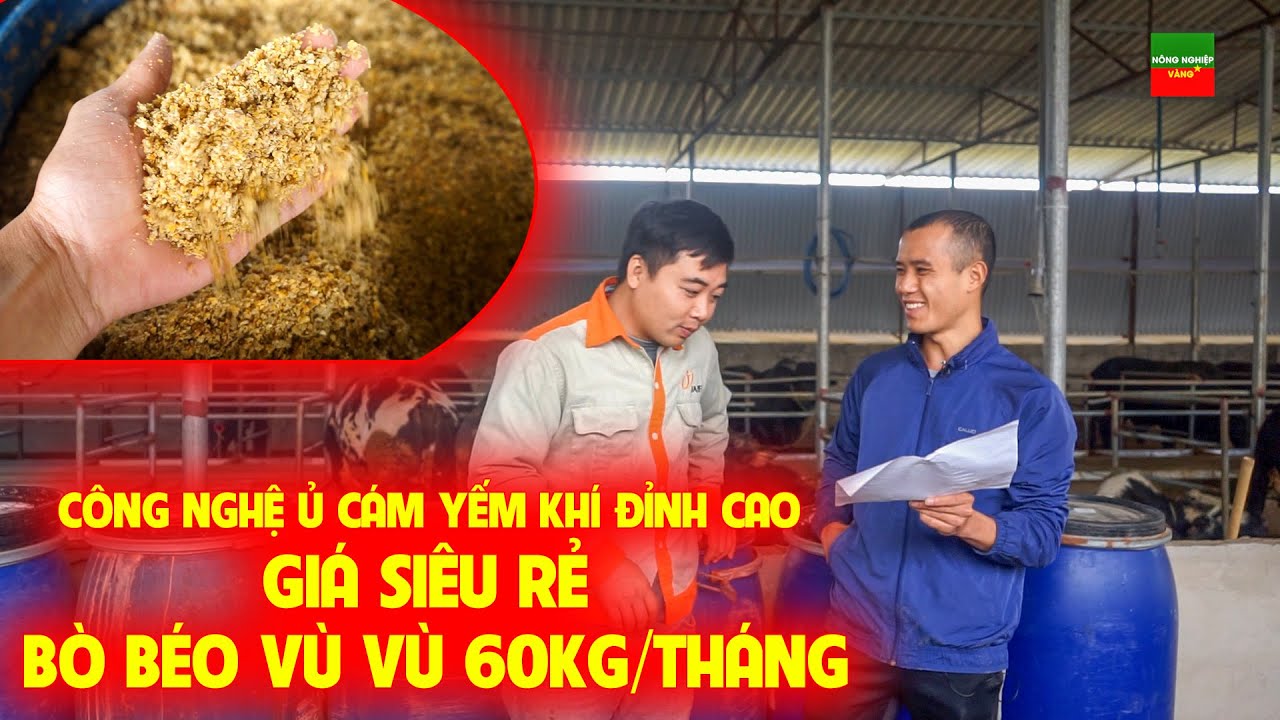 Tuyệt vời công nghệ 