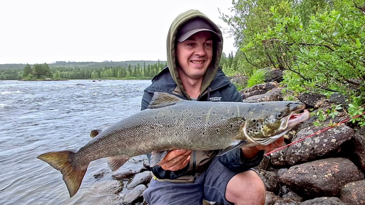 Nach 7 Jahren in Schweden - Mein erster Lachs! 🐟🎣