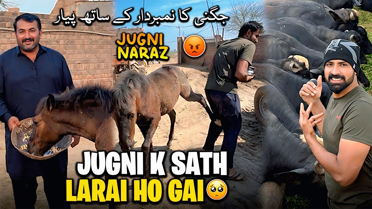 Aj Jugni K Sath Larai Ho Gai 🥺 Aj Ka Din Kesa Guzra || جگنی ٹانگیں مارنے لگ گئی