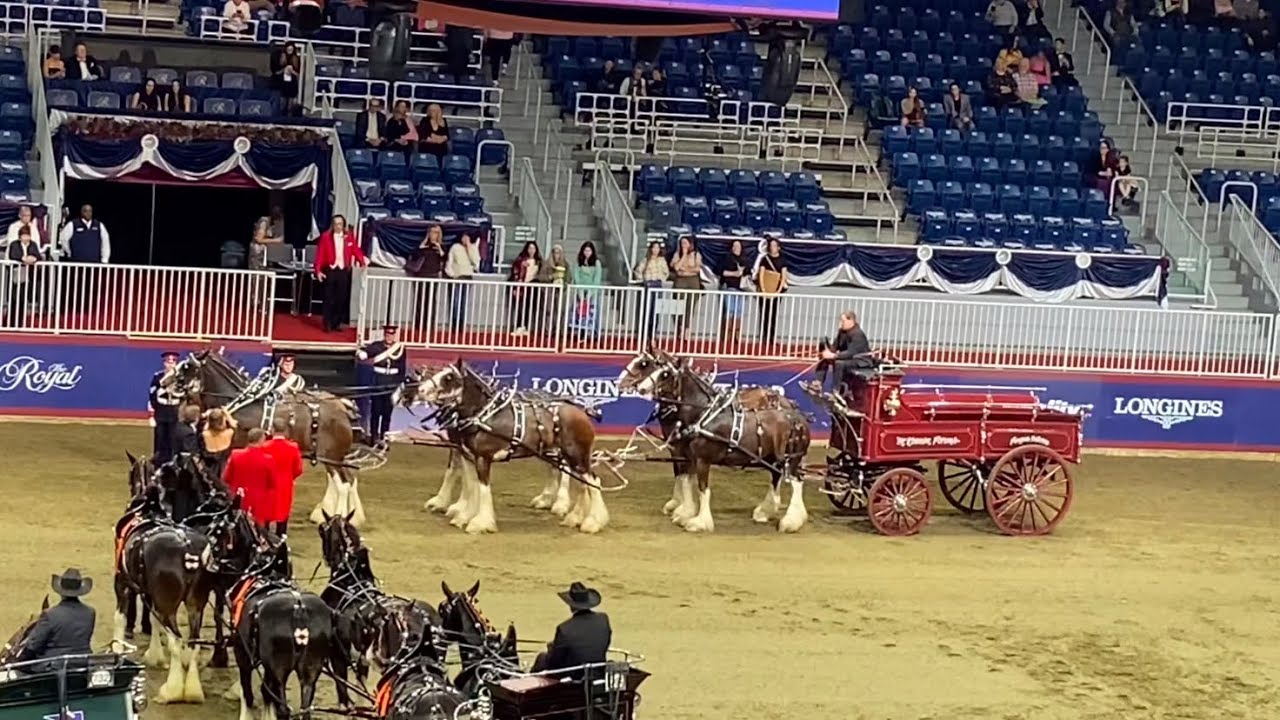 Clydesdale Six Horse Hitch Wagon The Royal Agricultural Winter Fair 2024 Horse Show