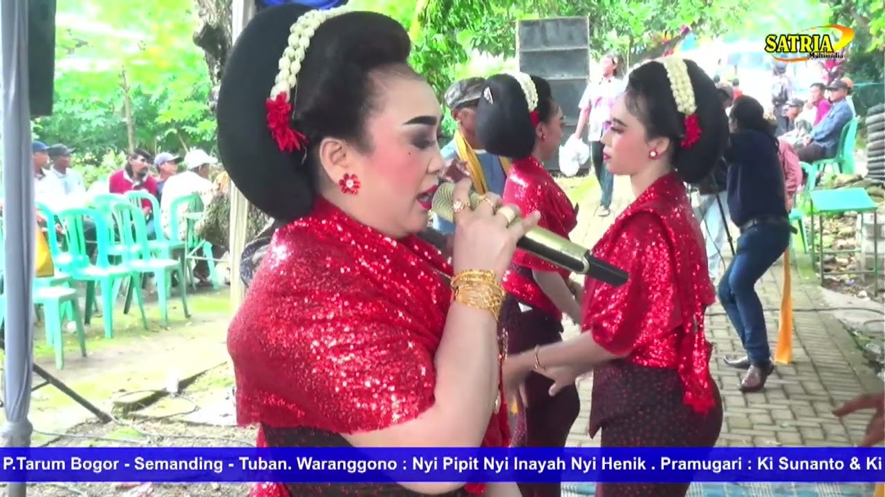 Kembang Probolinggo 88 biasa Nyi Pipit Nyi Inayah Nyi Henik Lestari