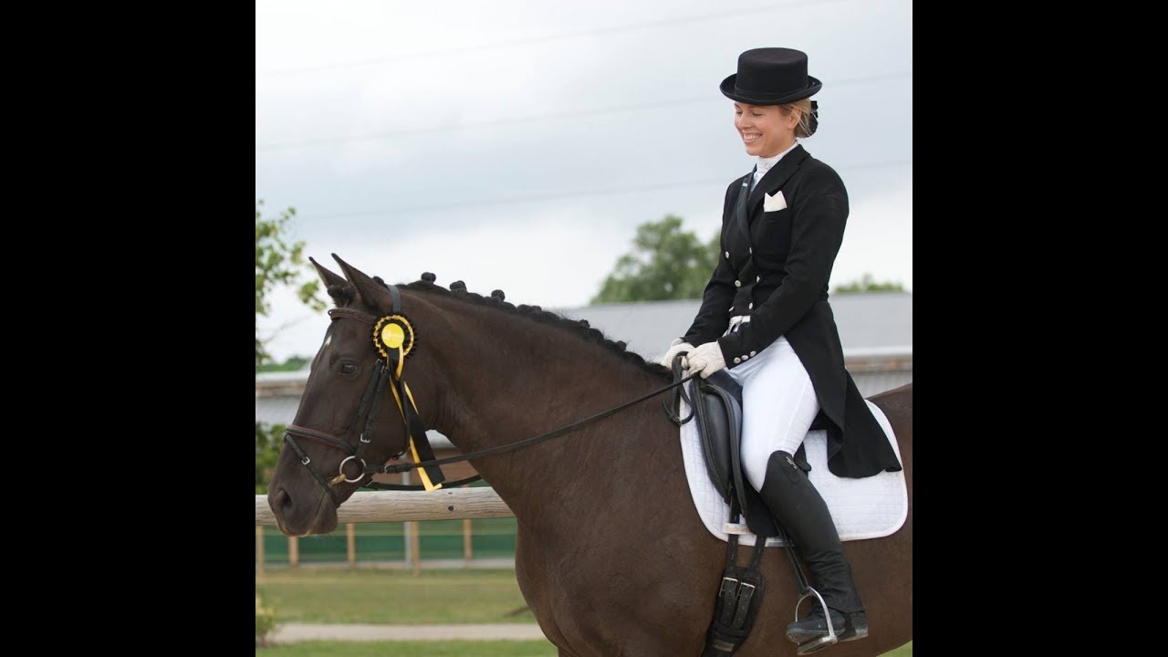 ANDALUSIAN HORSE FOR SALE - ANDALUSIAN BREEDER YEGUADA D PRESENTING SMOKY BLACK PRE MARE