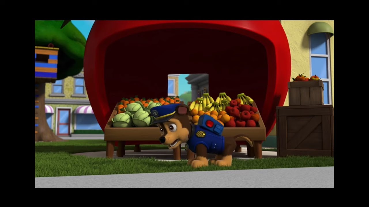 Paw Patrol: Chase Sneezing Compilation (Season 8-9)