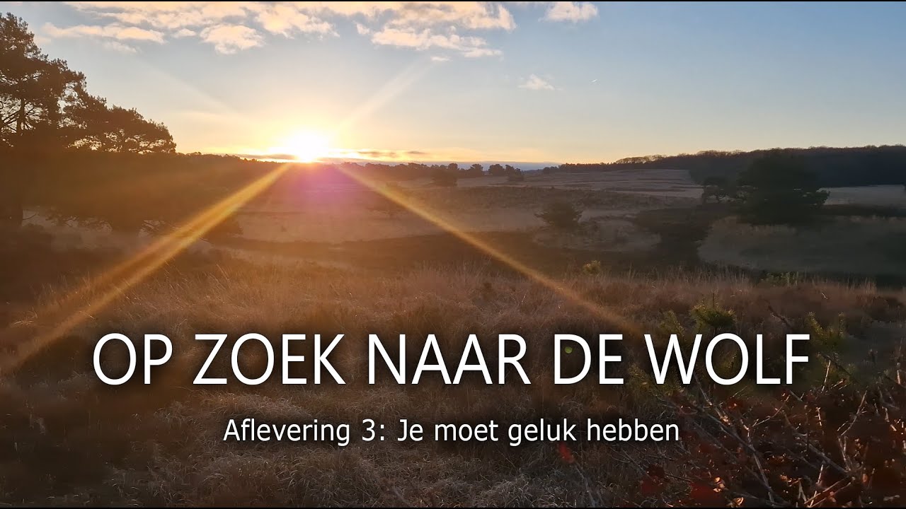 #16 - OP ZOEK NAAR DE WOLF - Afl. 3: Je moet geluk hebben