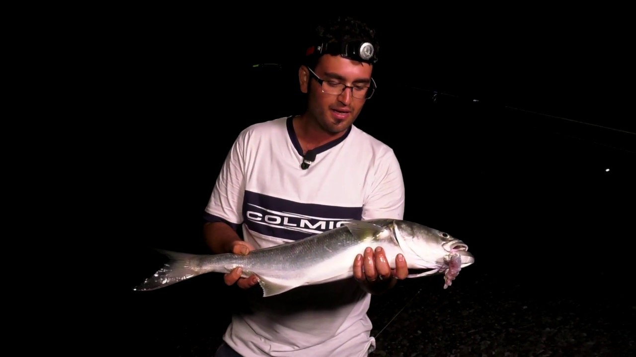 Surfcasting ai Serra (Colmic)