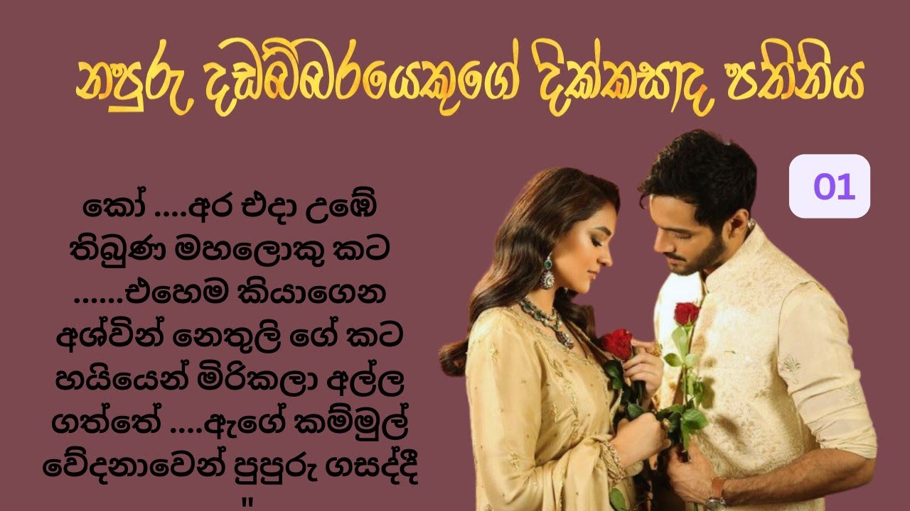 නපුරු දඩබ්බරයෙකුගේ දික්කසාද පතිනිය ( සිංහල නවකතා)  01 sinhala novels( keti katha)