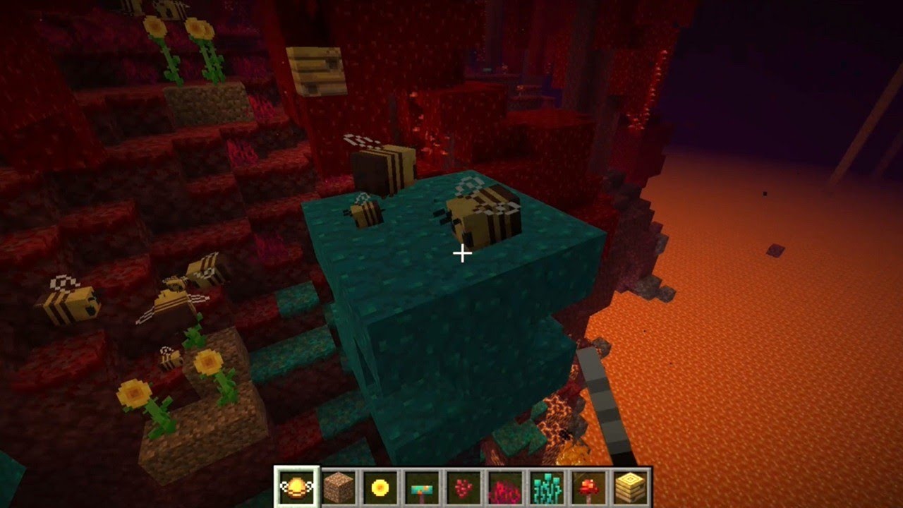 Bees looking lost in The Nether in Creative Minecraft. Have to import flowers in!