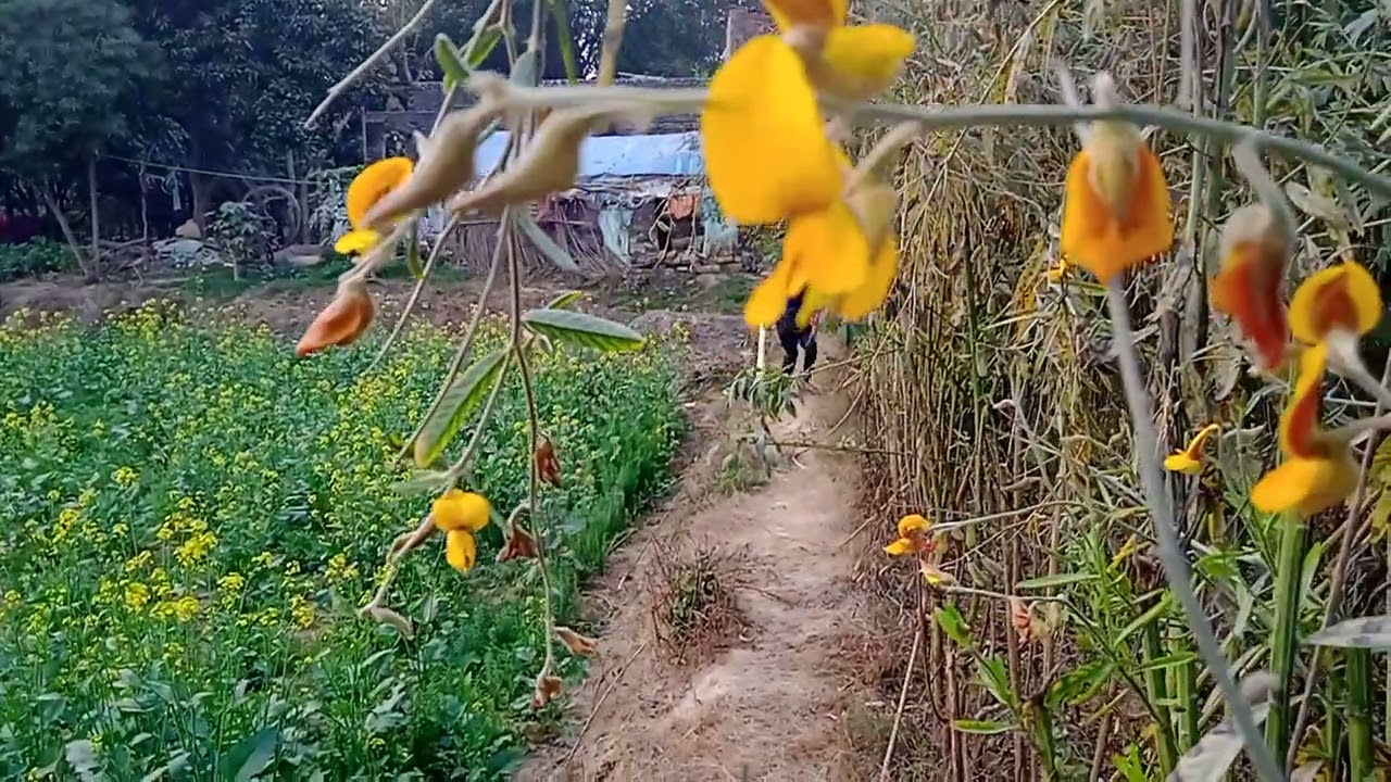 Mera naya video