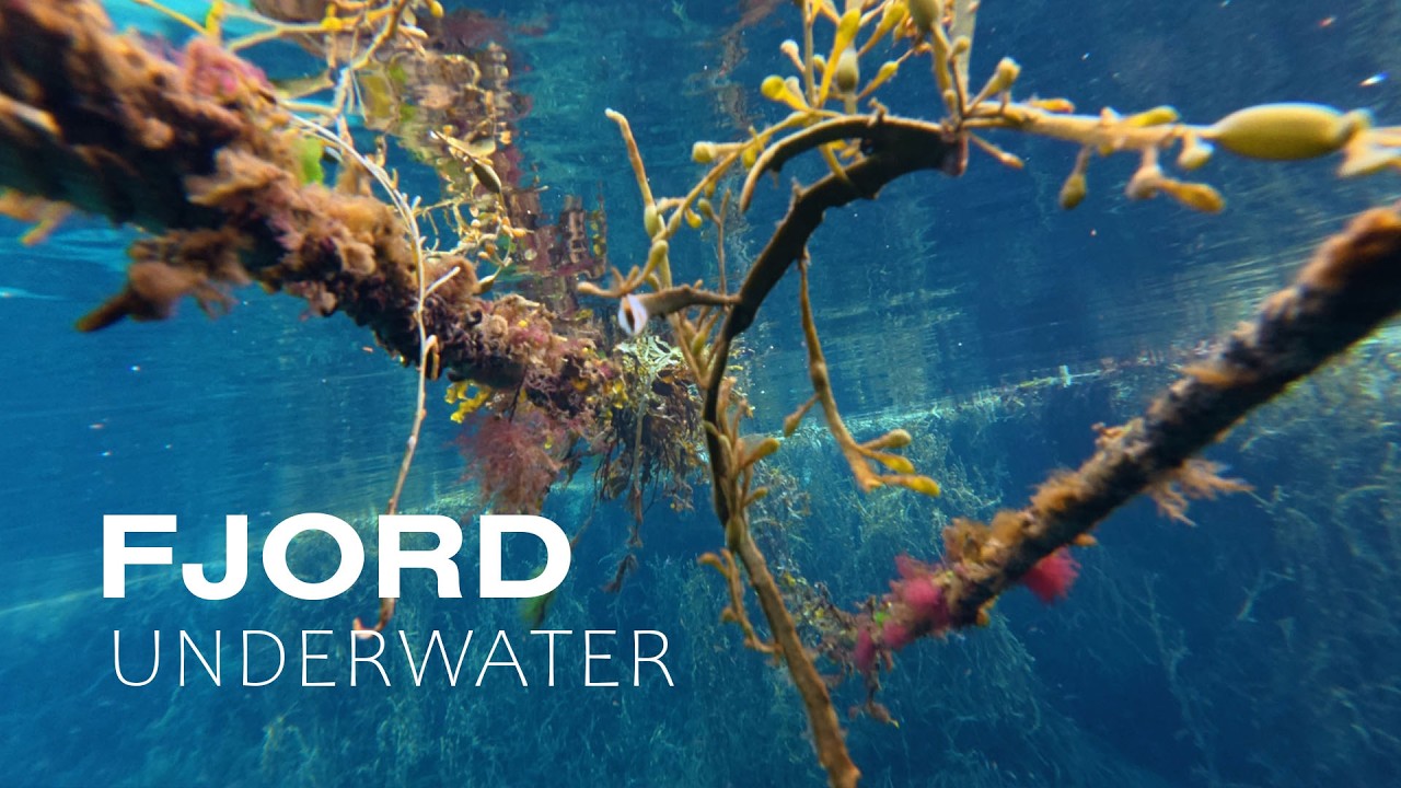 Fjord underwater