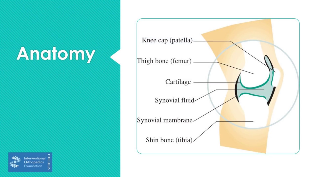 How Do You Inject a Knee Joint with Ultrasound?
