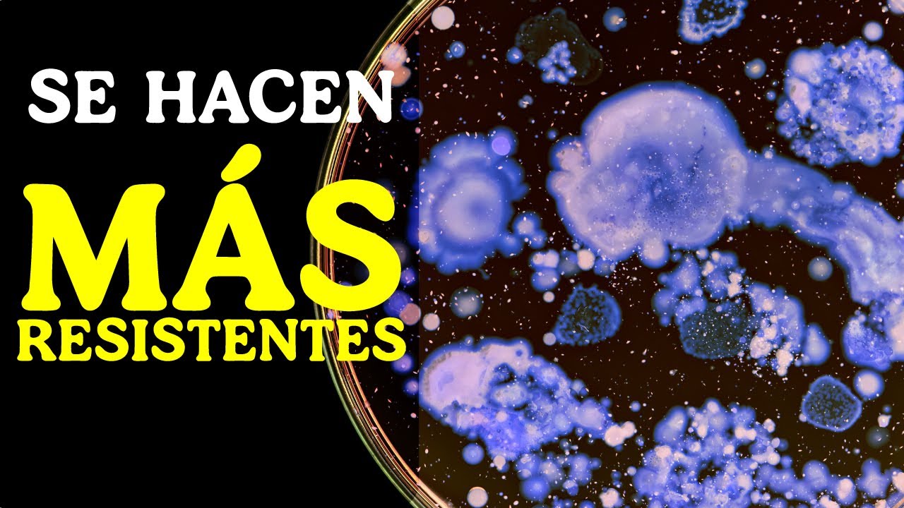 Tenemos que hablar de esto...🦠💊 | #ResistenciaAntimicrobiana