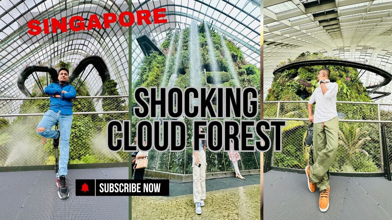 සිංගප්පූරුවේ Cloud Forest | Sinhala Travel Vlog | Gardens by the Bay 🇸🇬🇱🇰