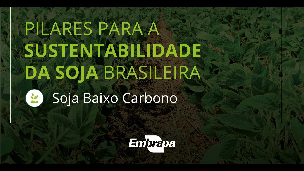 Soja Baixo Carbono | Pilares para a sustentabilidade da  soja brasileira