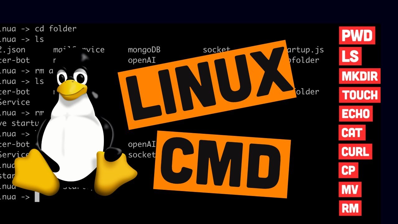 Основні команди Linux: швидкий гайд для початківців