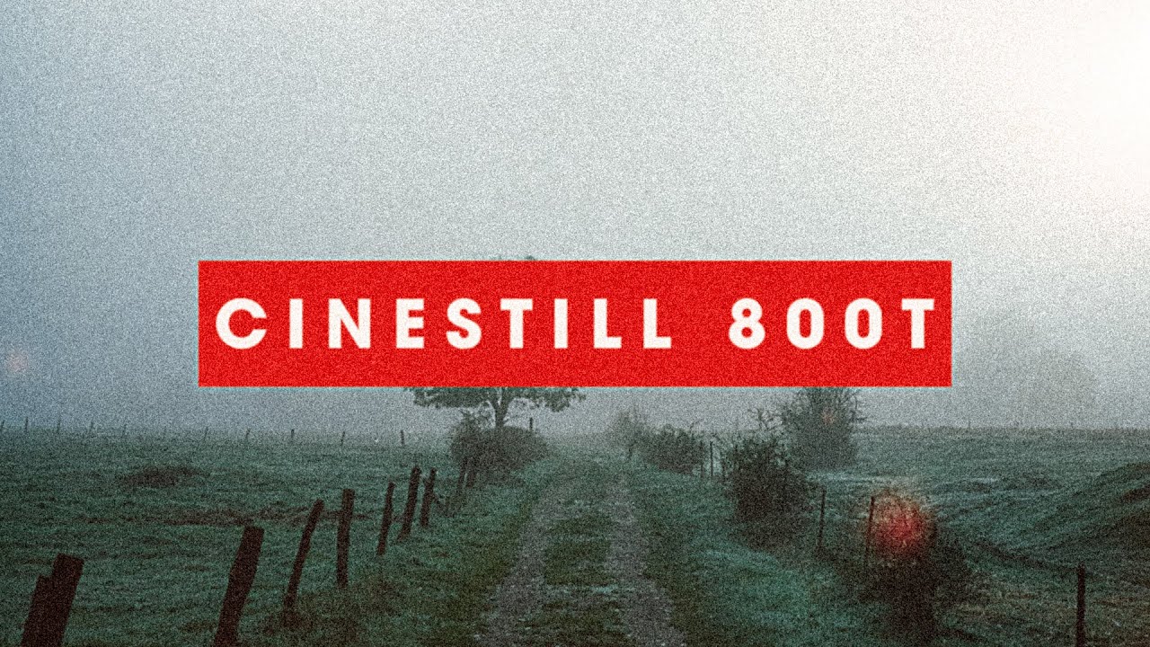 A Roll of Cinestill 800T