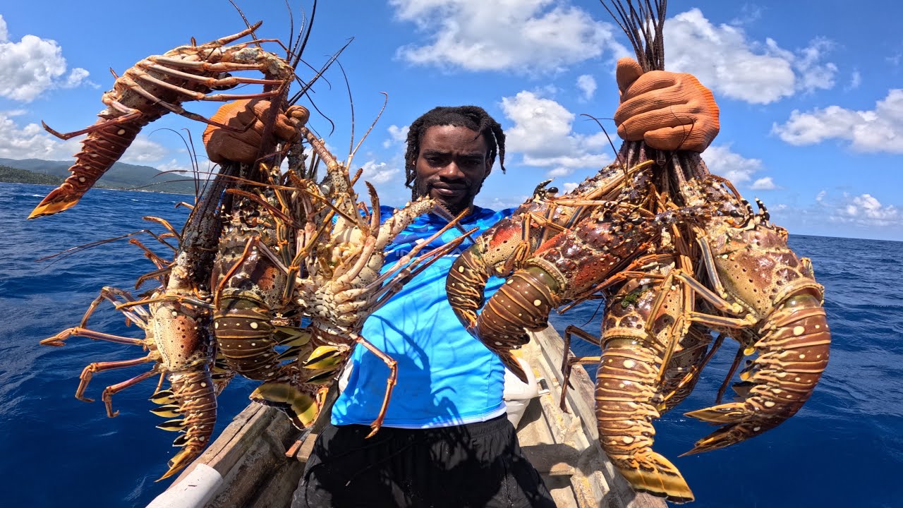Улов гигантских лобстеров в глубинах Ямайки! 🦞🇯🇲 Морская рыбалка!