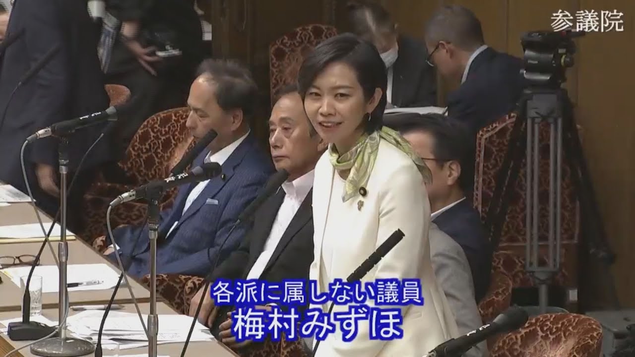 2025.06.21 財政金融委員会・質疑　梅村みずほ