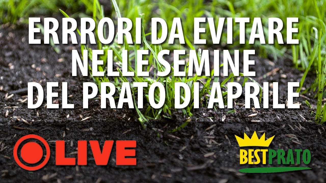 SEMINARE IL PRATO AD APRILE. QUALI ERRORI EVITARE?