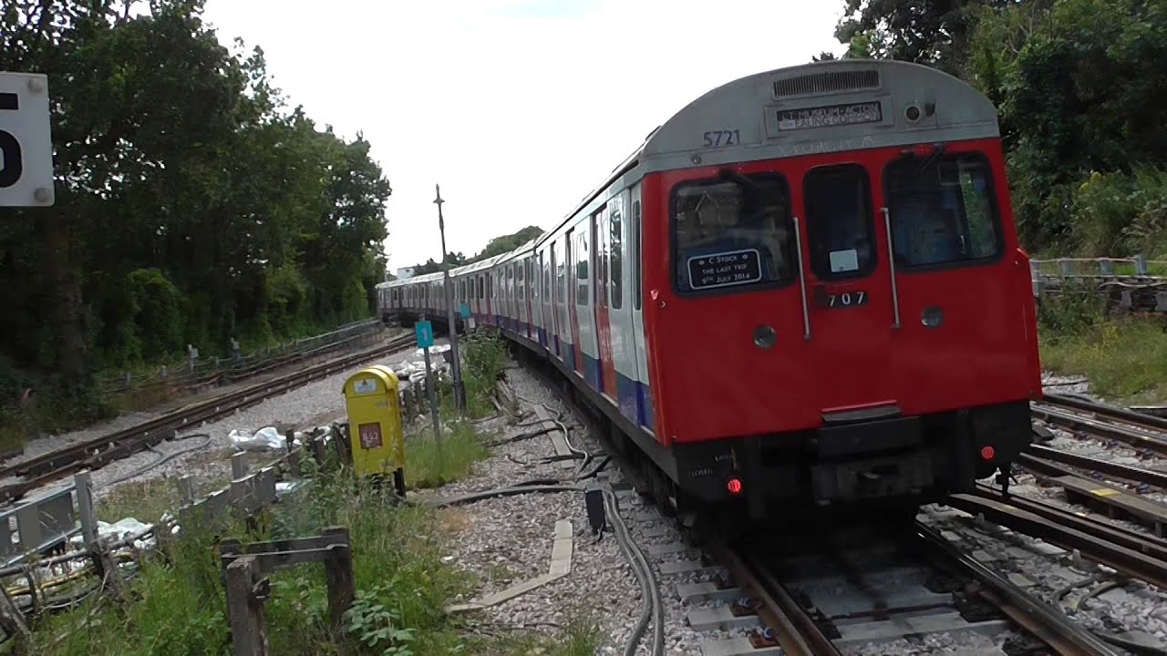 THE LAST C STOCK
