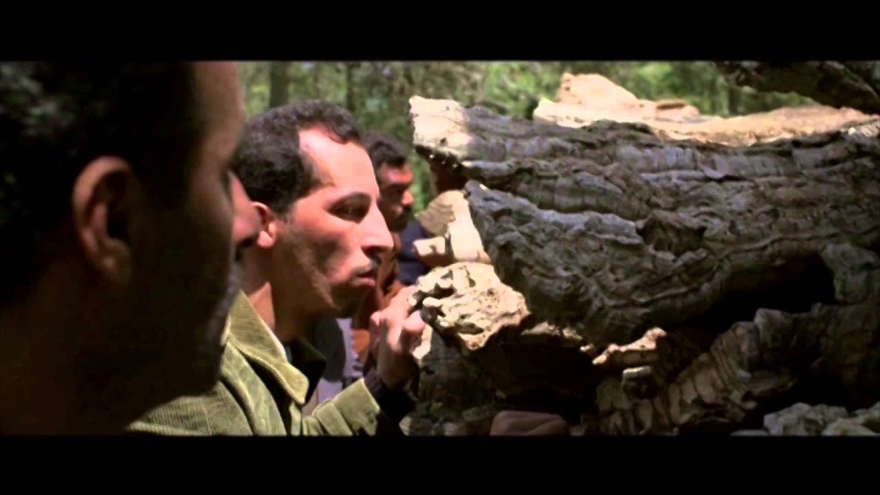 Algeria After 1954 - Trailer