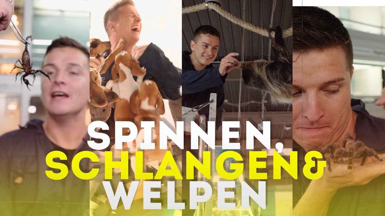 Spinnen, Schlangen & Welpen - Praktikum im Zoogeschäft | Ein Aaron für alle Fälle