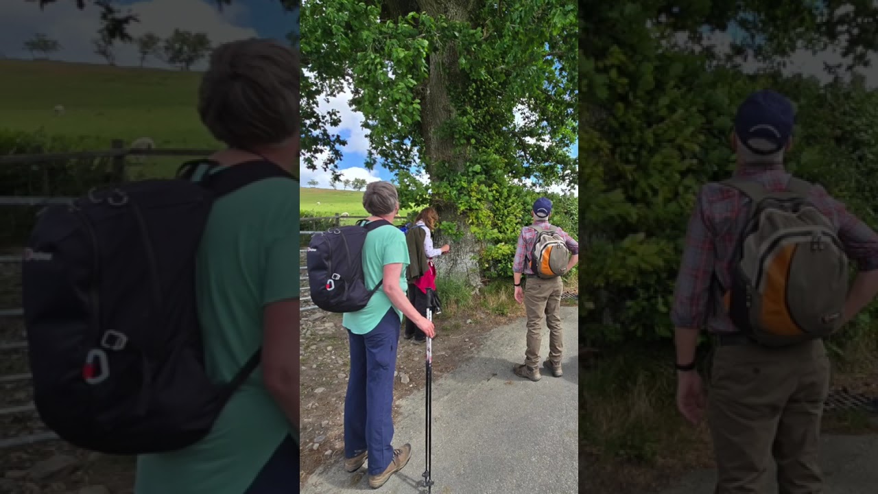 Walking The Wye Valley Way - to Builth & Beyond #shorts