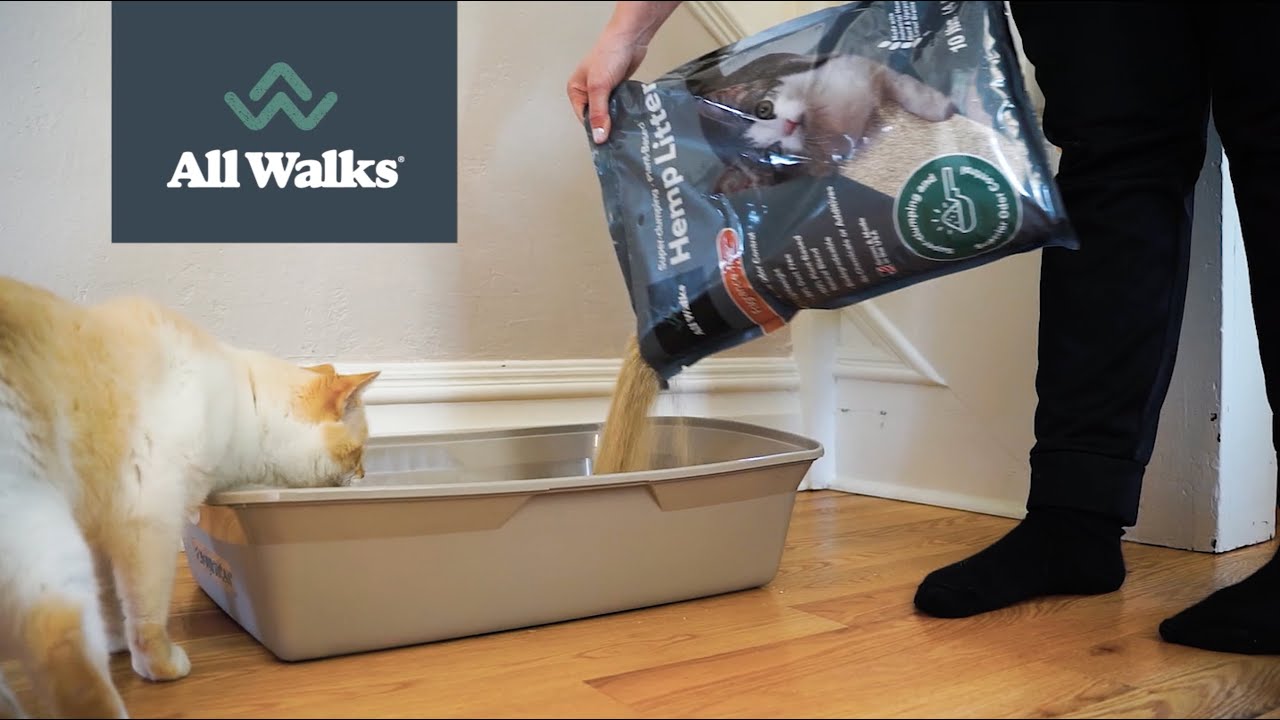 All Walks Kitty Litter