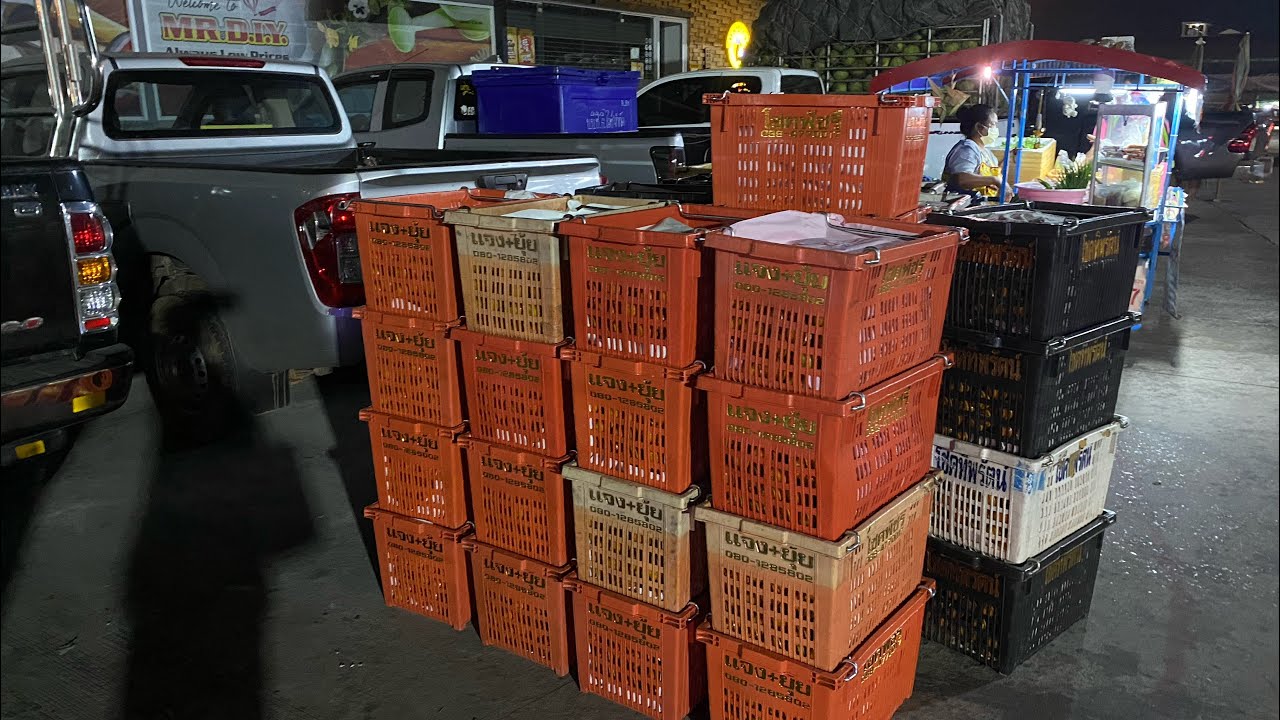 ซื้อผลไม้ ตลาดเมืองทอง จังหวัดอุดรธานี เกือบกลับบ้านไม่ได้ ( เศรษฐี ไม่มีนาย EP.201 )