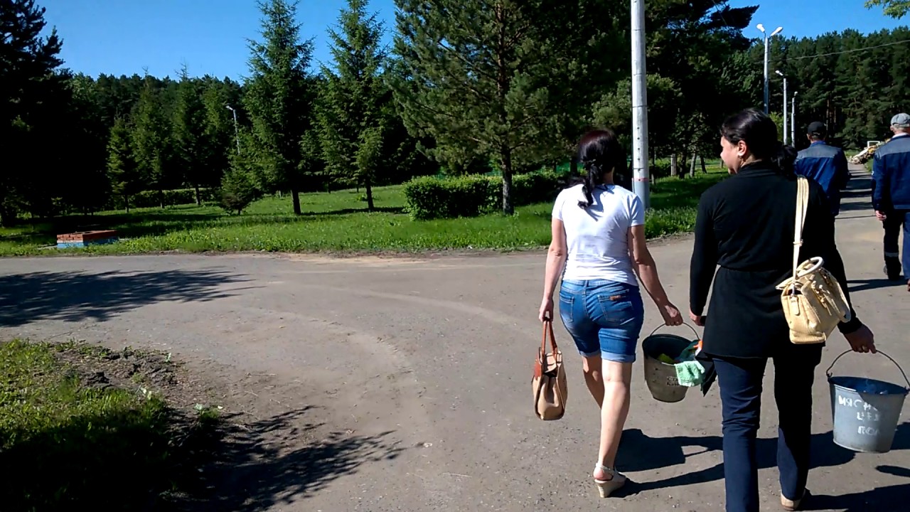 поездка в Синицинский бор, ДОЛ им  Ленина