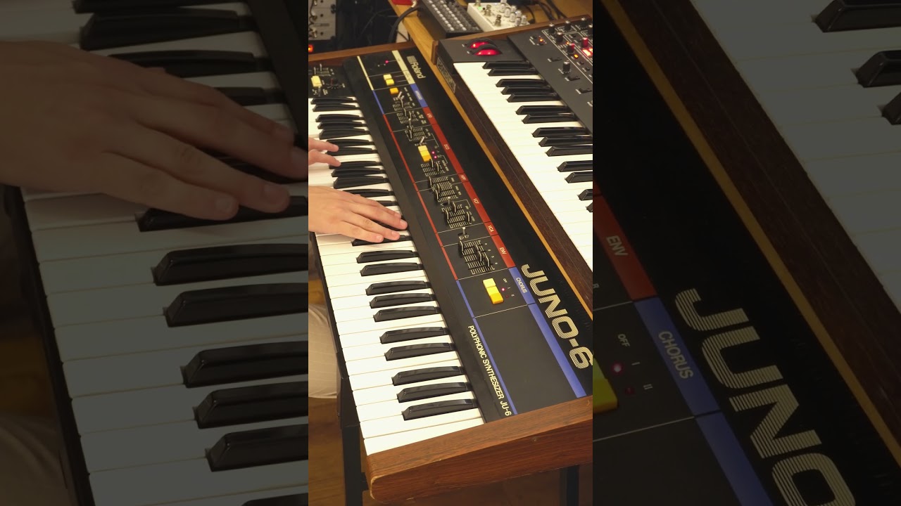Roland Juno-6 & Sequential Prophet-6 #synth #synthesizer #electronicmusic #ambient #synthwave