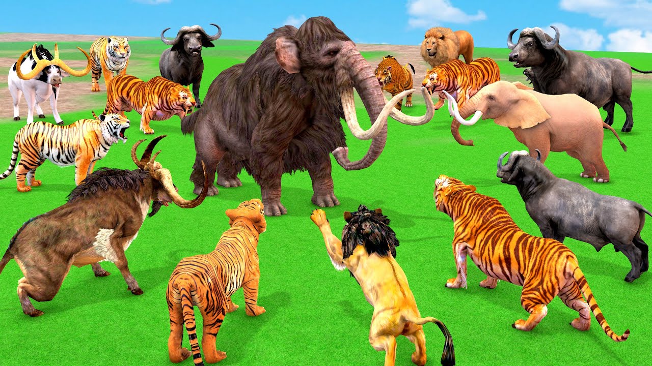 5 Giant Tigers Vs Elephants Fight Attack Cow Cartoon Buffalos Saved by Woolly Mammoth Vs Dinosaur