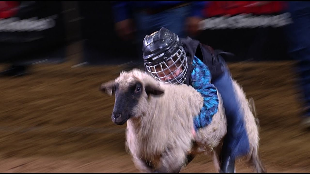 Mutton Bustin' highlights | San Antonio Rodeo | Feb. 16, 2022