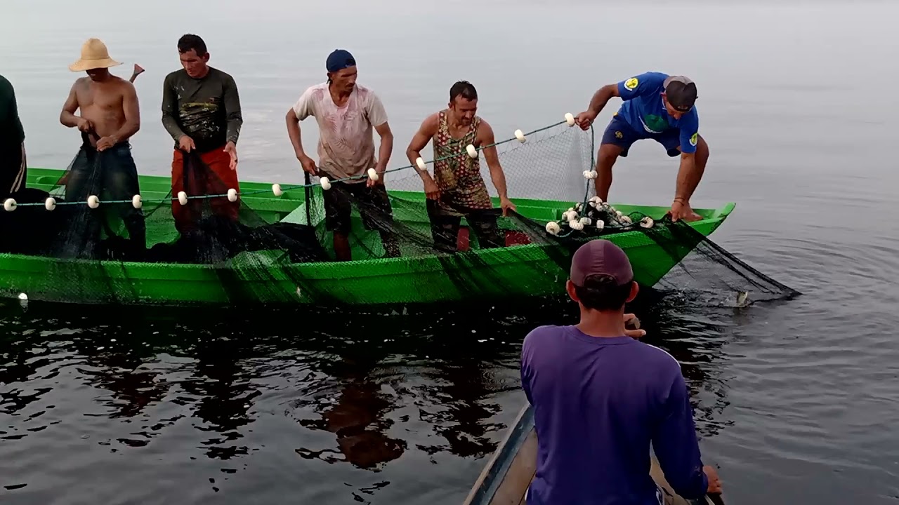 muito jaraqui no rio negro mais uma pescaria com sucesso