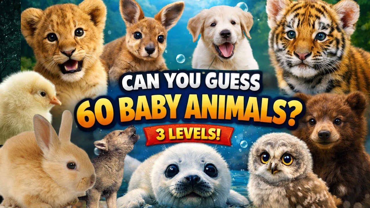 Only 5% Can Guess 60 Baby Animals! 🐶🦁 3 Levels Quiz