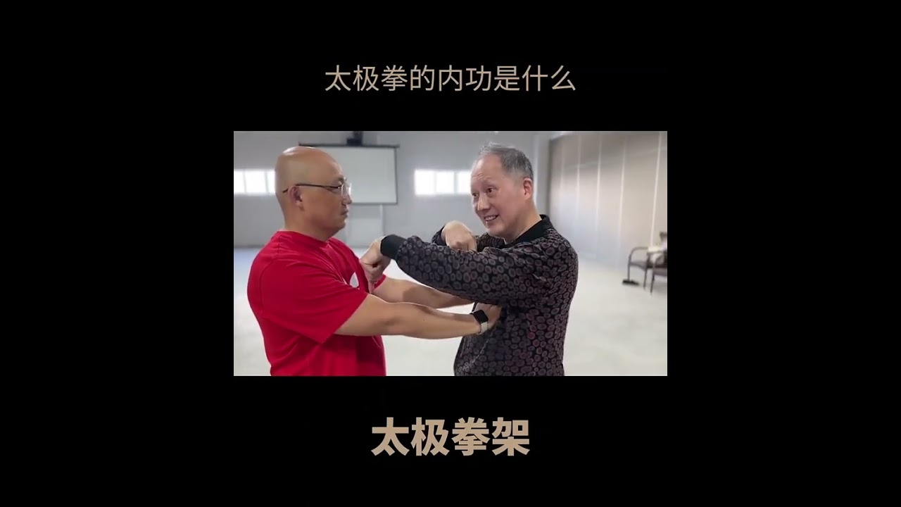 Master Fu 谈太极拳的内功练的是什么（中英文字幕） The inner Stength of Tai Chi