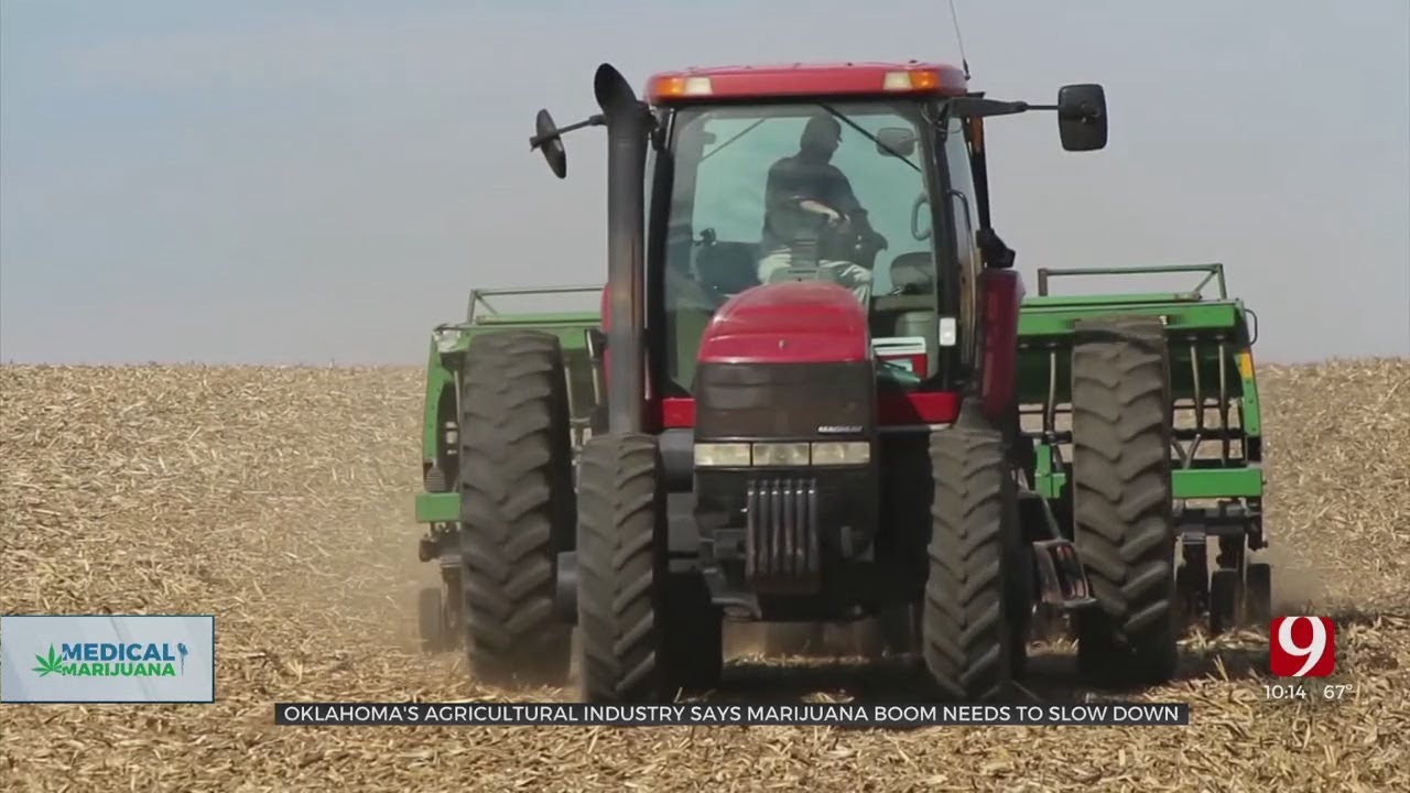 Oklahoma&rsquo;s Explosive Growth Of Marijuana Affecting Farmers, Says Agricultural Associations
