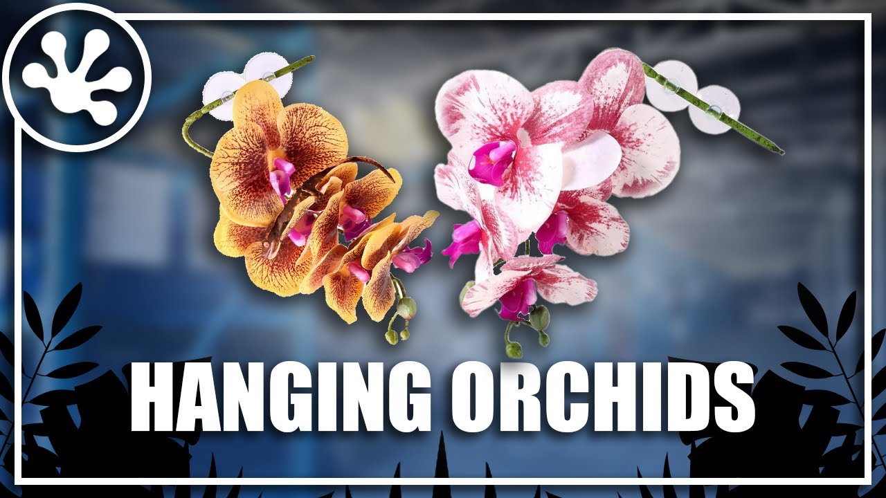 New Product Alert! Pangea Hanging Orchids