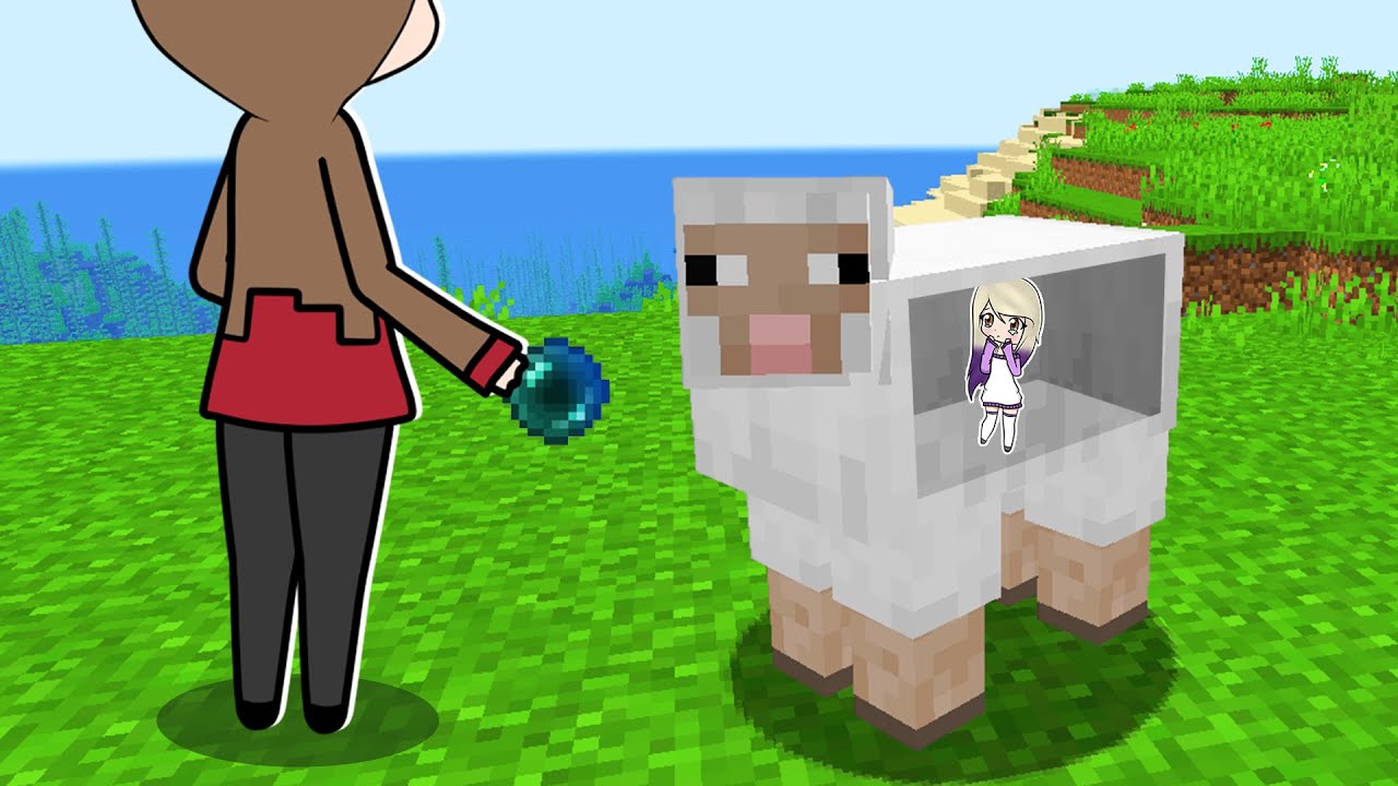 MINECRAFT PERO PODEMOS ENTRAR DENTRO DE CUALQUIER MOB