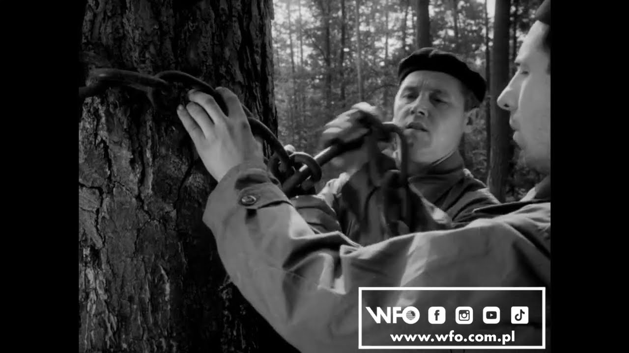 Patent rodem z PRL /WFO shorts/