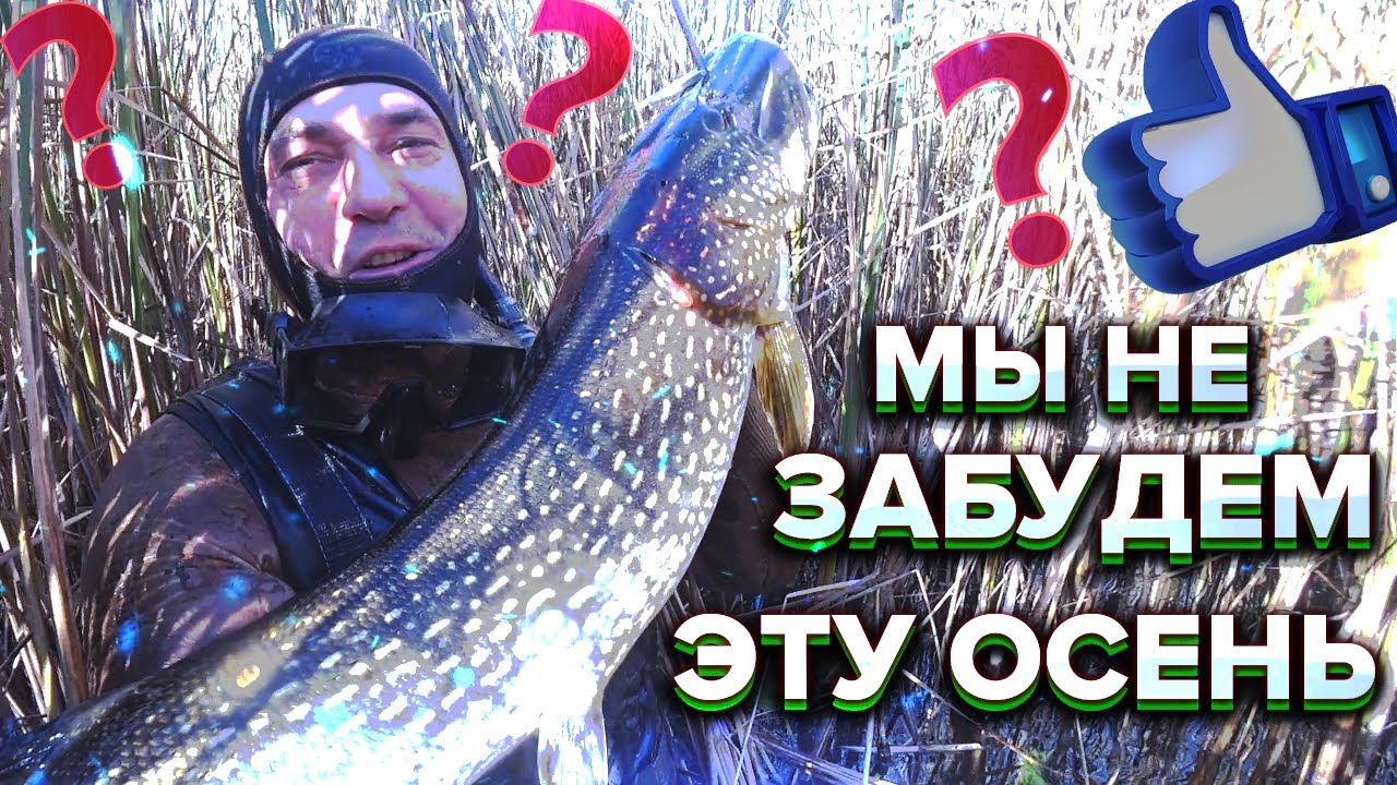 ПОДВОДНАЯ ОХОТА НА САЗАНА , СОМА,ЩУКУ ,КАРАСЯ, ОСЕННЕЕ ЗАКРЫТИЕ СЕЗОНА 2022 года
