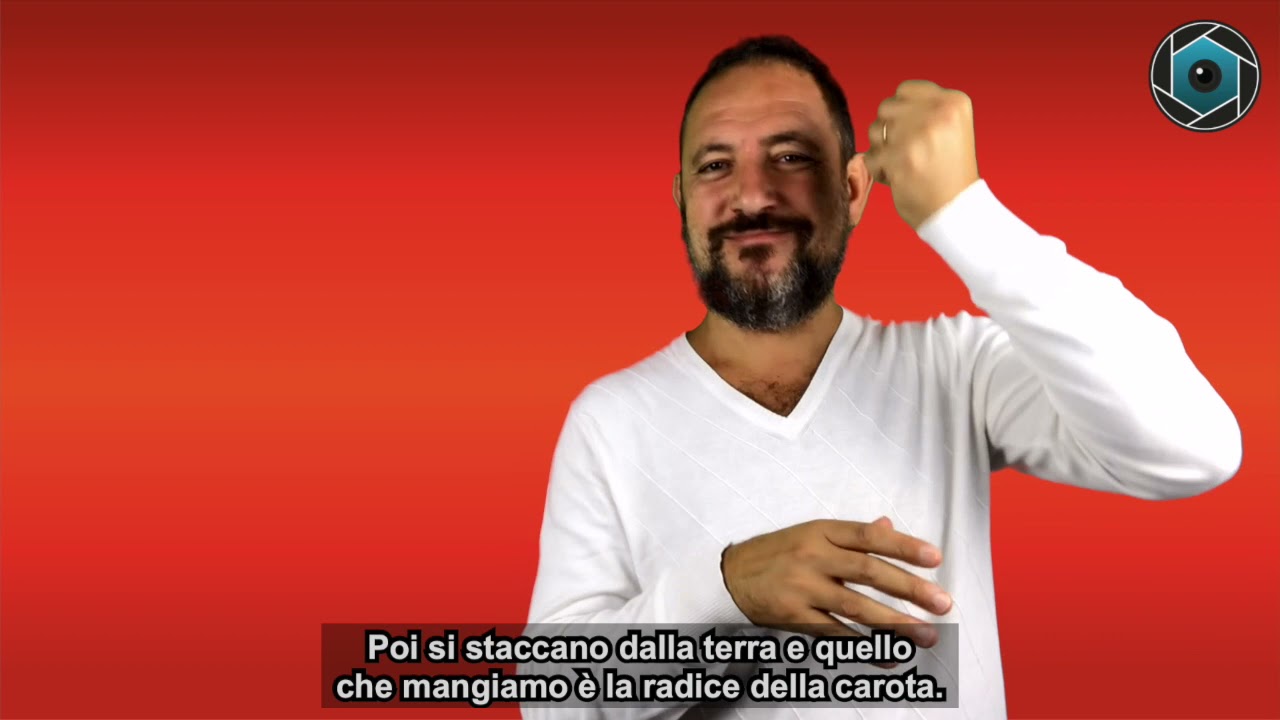 11° puntata di Curiosità - OPEMA TV - LIS