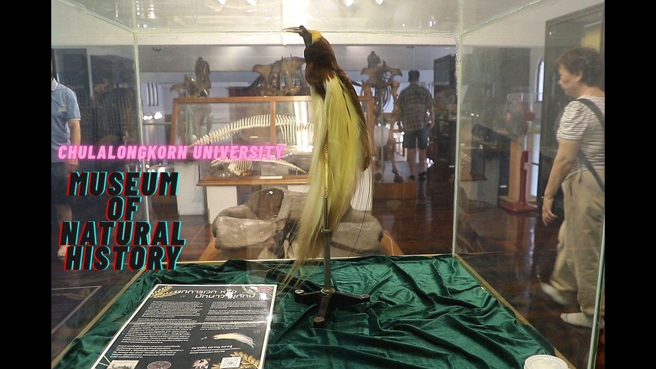 Chulalongkorn University Museum of Natural History